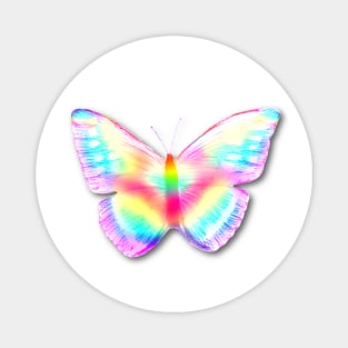 Rainbow Butterfly Magnet